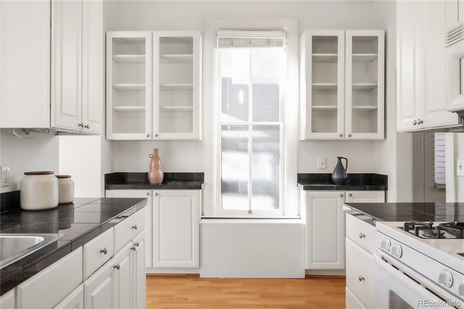 MLS Image #9 for 224 n sherman street,denver, Colorado