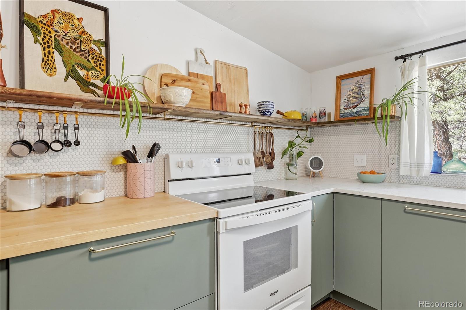 MLS Image #10 for 28587  park avenue,pine, Colorado