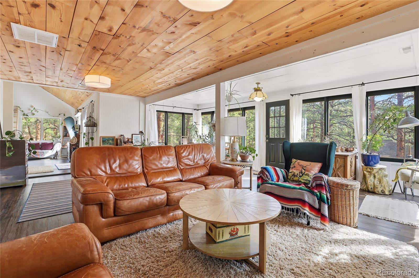 MLS Image #19 for 28587  park avenue,pine, Colorado