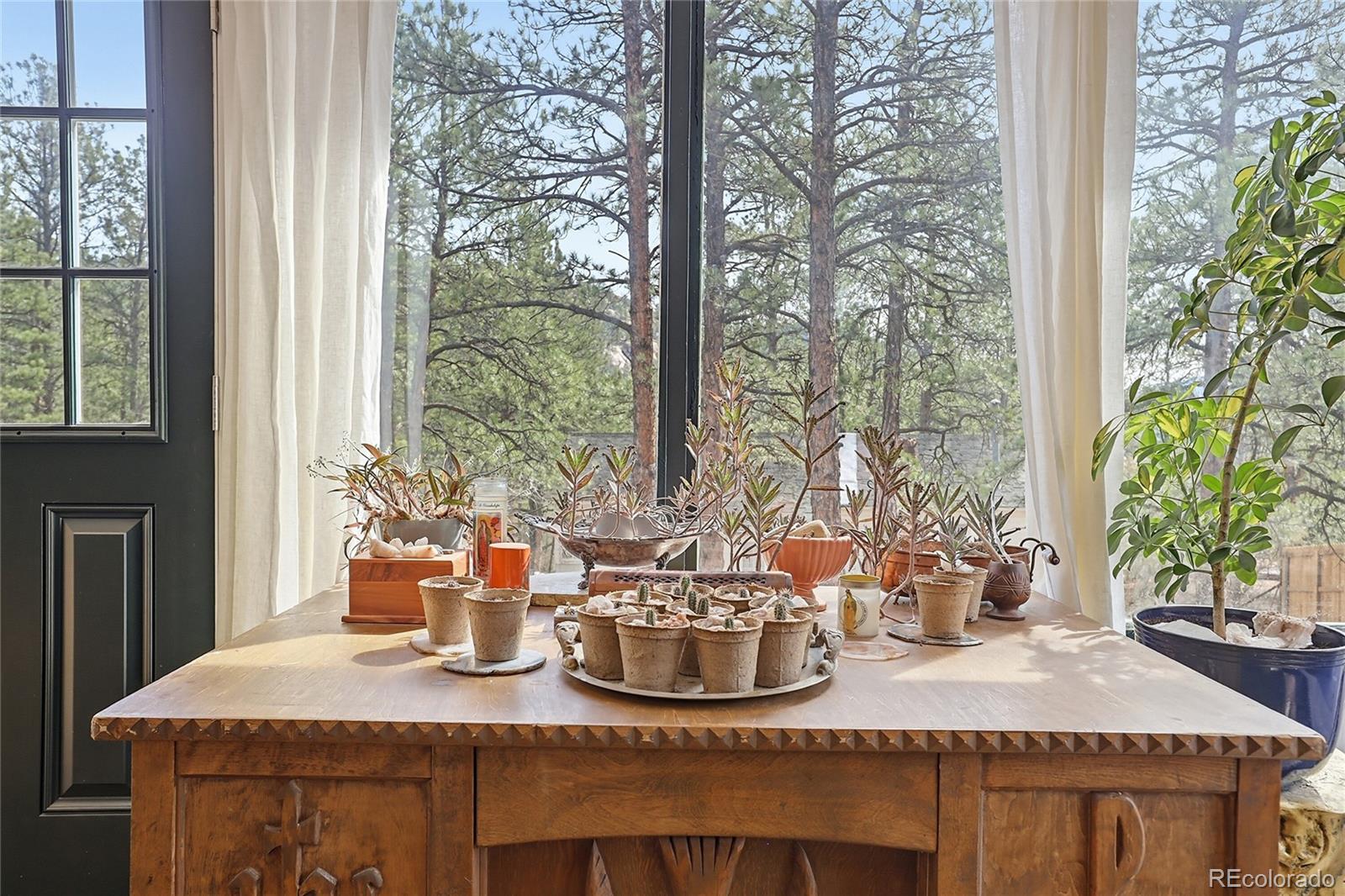 MLS Image #22 for 28587  park avenue,pine, Colorado