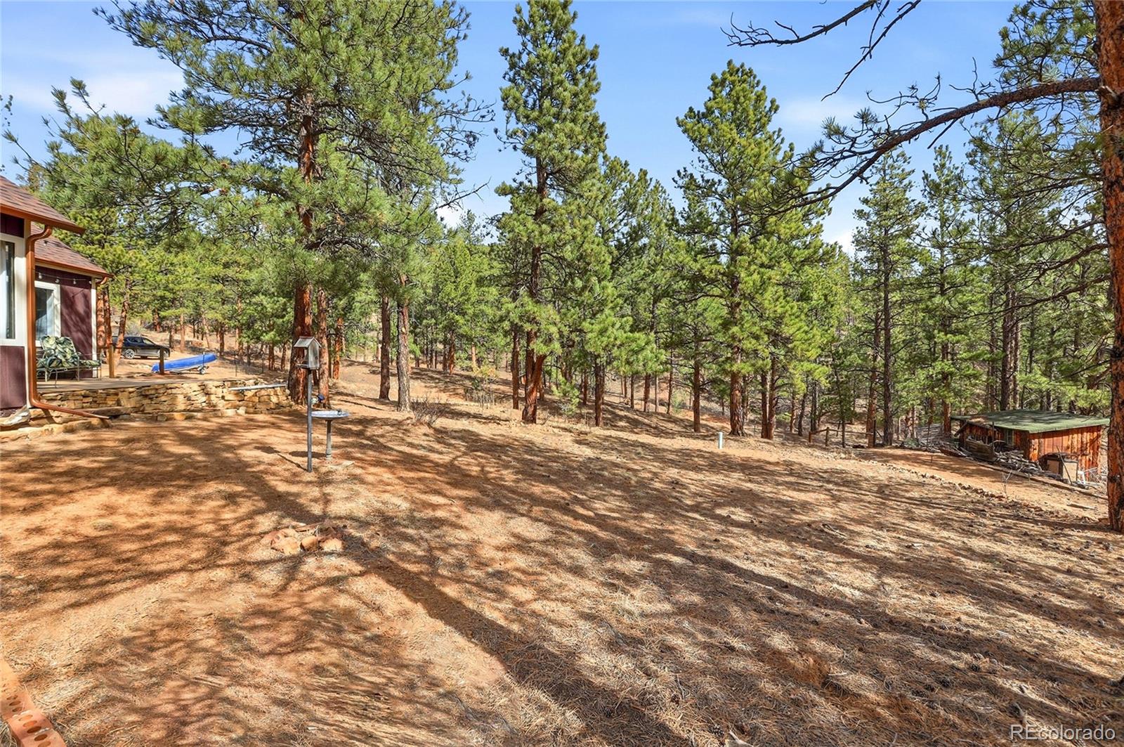 MLS Image #42 for 28587  park avenue,pine, Colorado