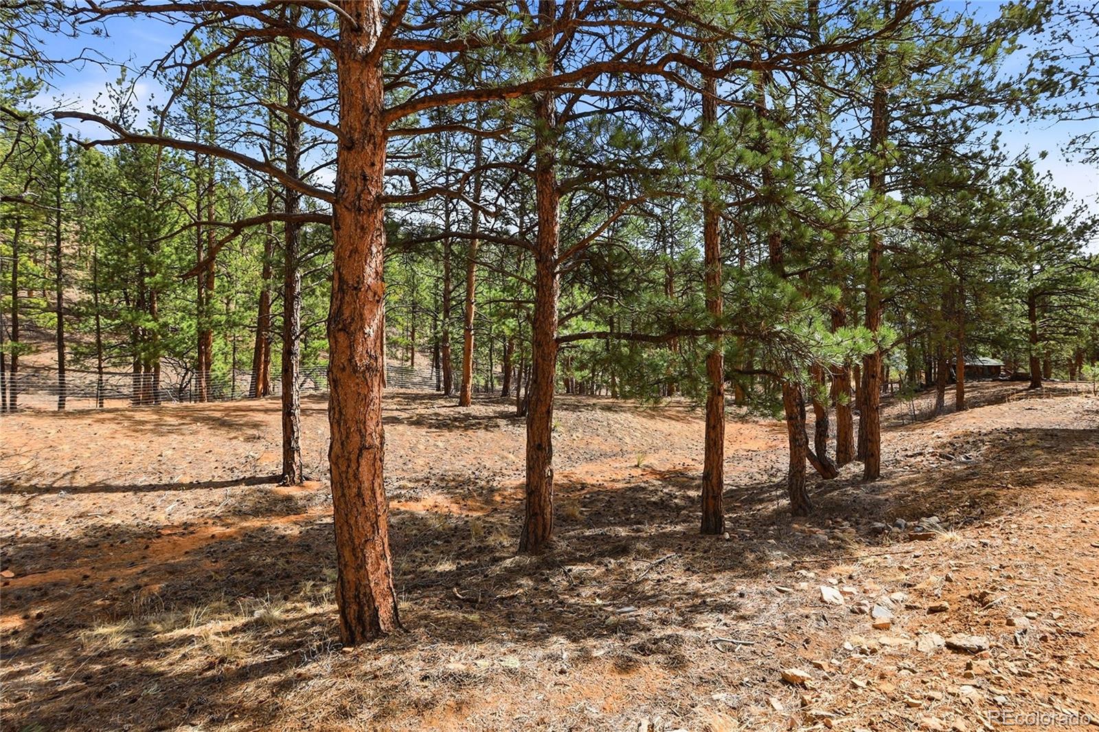 MLS Image #5 for 28587  park avenue,pine, Colorado