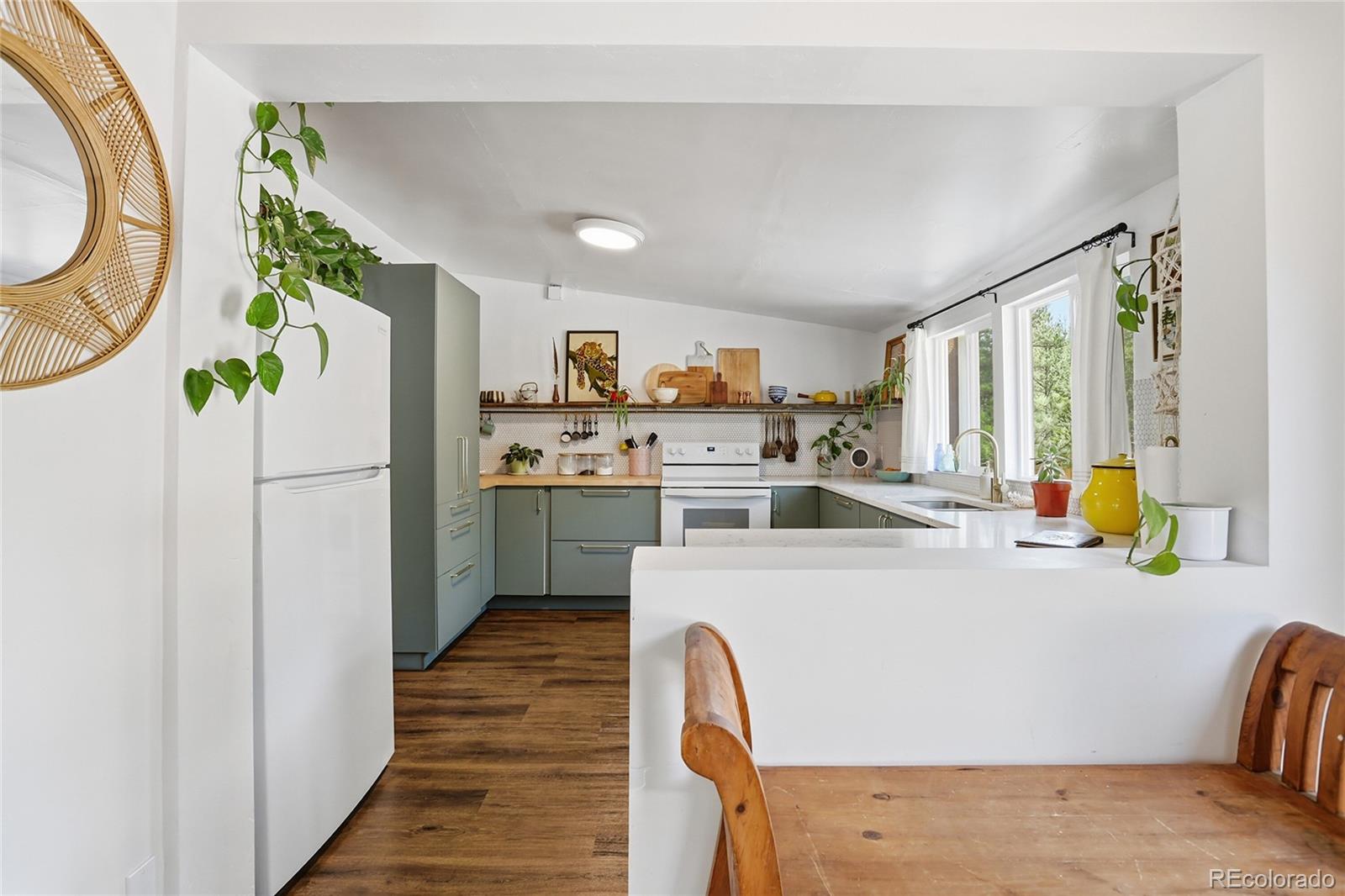 MLS Image #6 for 28587  park avenue,pine, Colorado