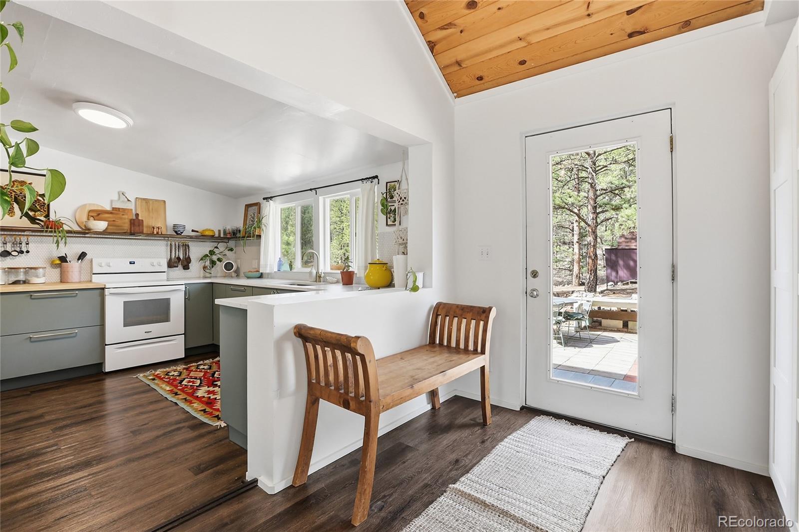 MLS Image #7 for 28587  park avenue,pine, Colorado