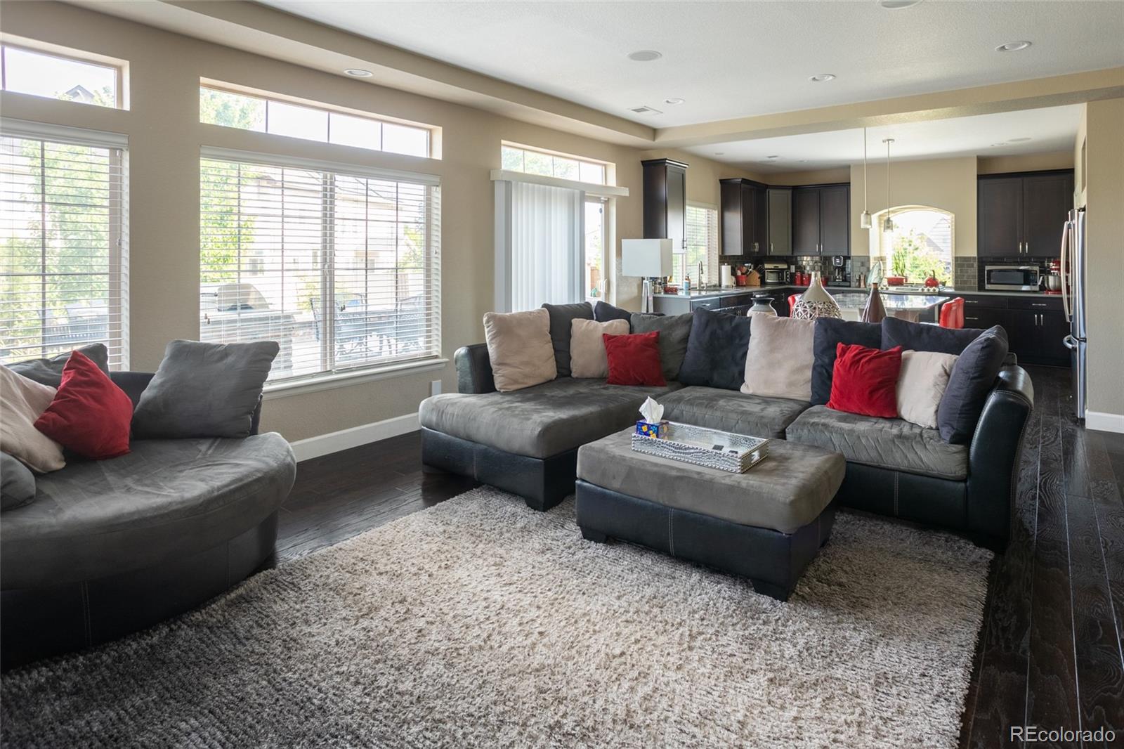 MLS Image #14 for 4969  ceylon way,denver, Colorado