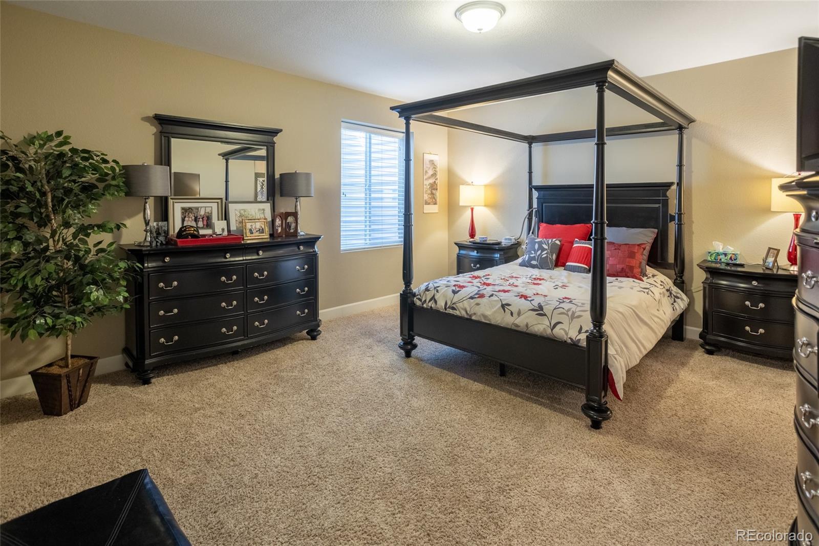 MLS Image #38 for 4969  ceylon way,denver, Colorado