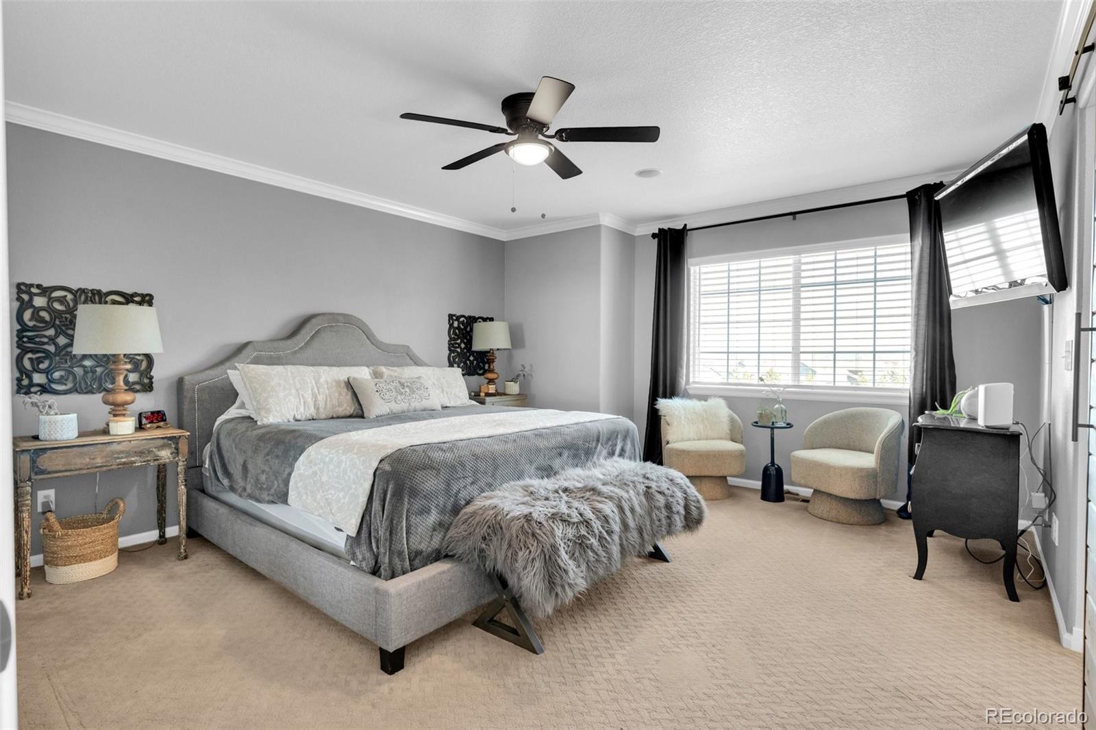 MLS Image #17 for 2485  bellavista street,castle rock, Colorado