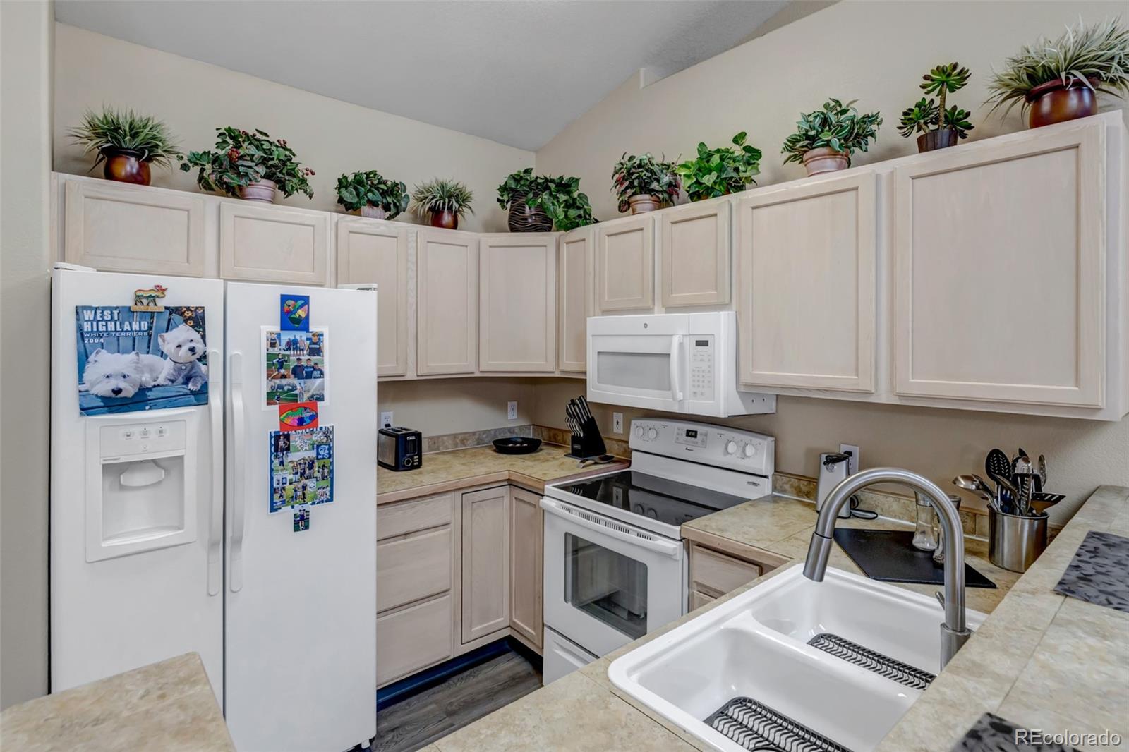 MLS Image #26 for 1162  samuel point ,colorado springs, Colorado