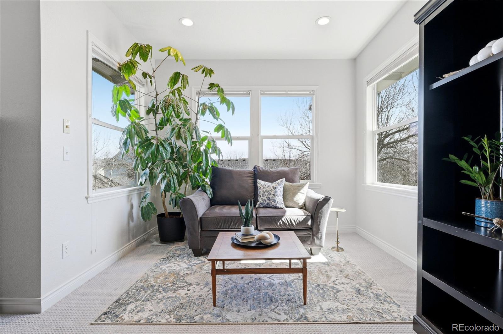 MLS Image #22 for 2820  wabash street,denver, Colorado