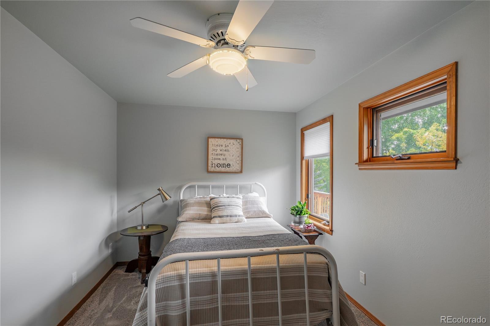 MLS Image #28 for 505 w princeton circle,glenwood springs, Colorado