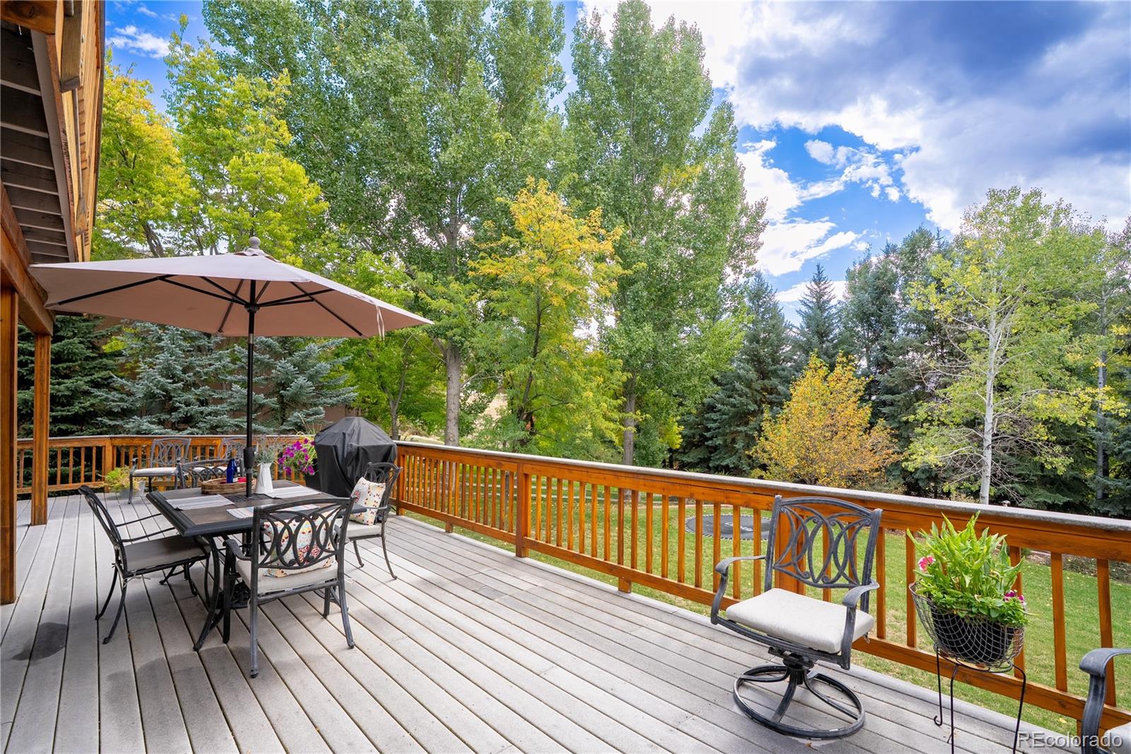MLS Image #38 for 505 w princeton circle,glenwood springs, Colorado