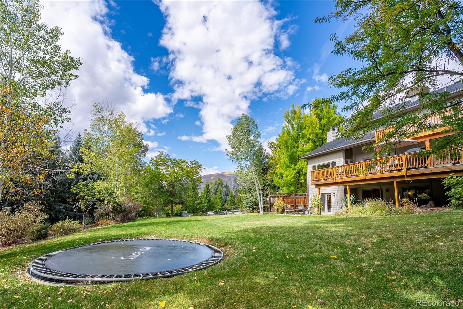 MLS Image #7 for 505 w princeton circle,glenwood springs, Colorado