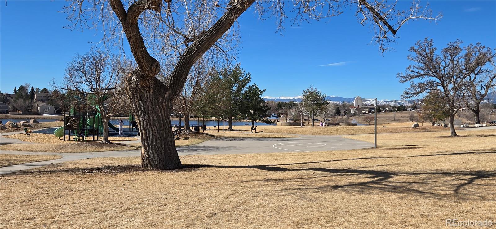 MLS Image #32 for 6463 w 85th avenue,arvada, Colorado