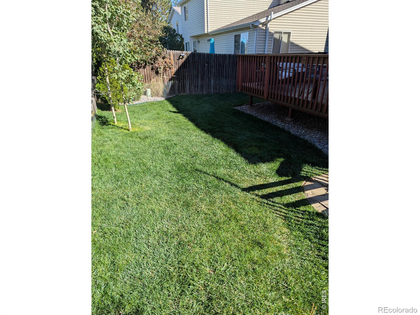MLS Image #20 for 1159  fall river circle,longmont, Colorado