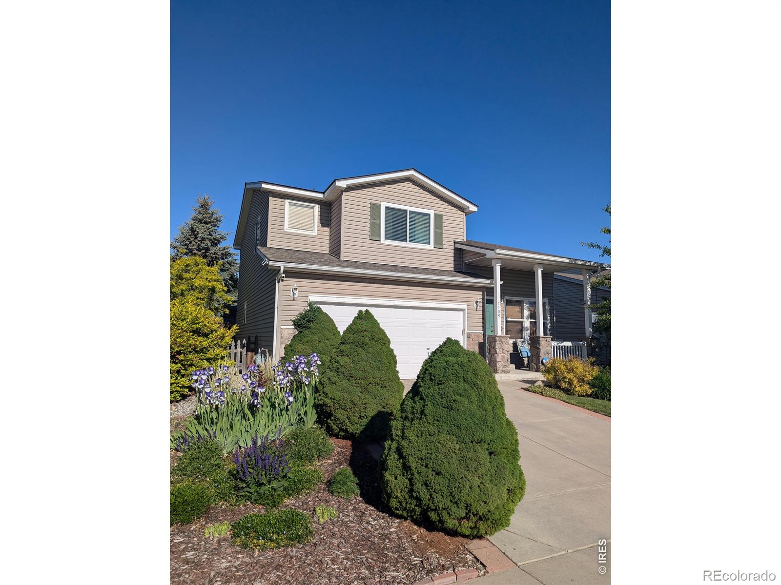 MLS Image #3 for 1159  fall river circle,longmont, Colorado