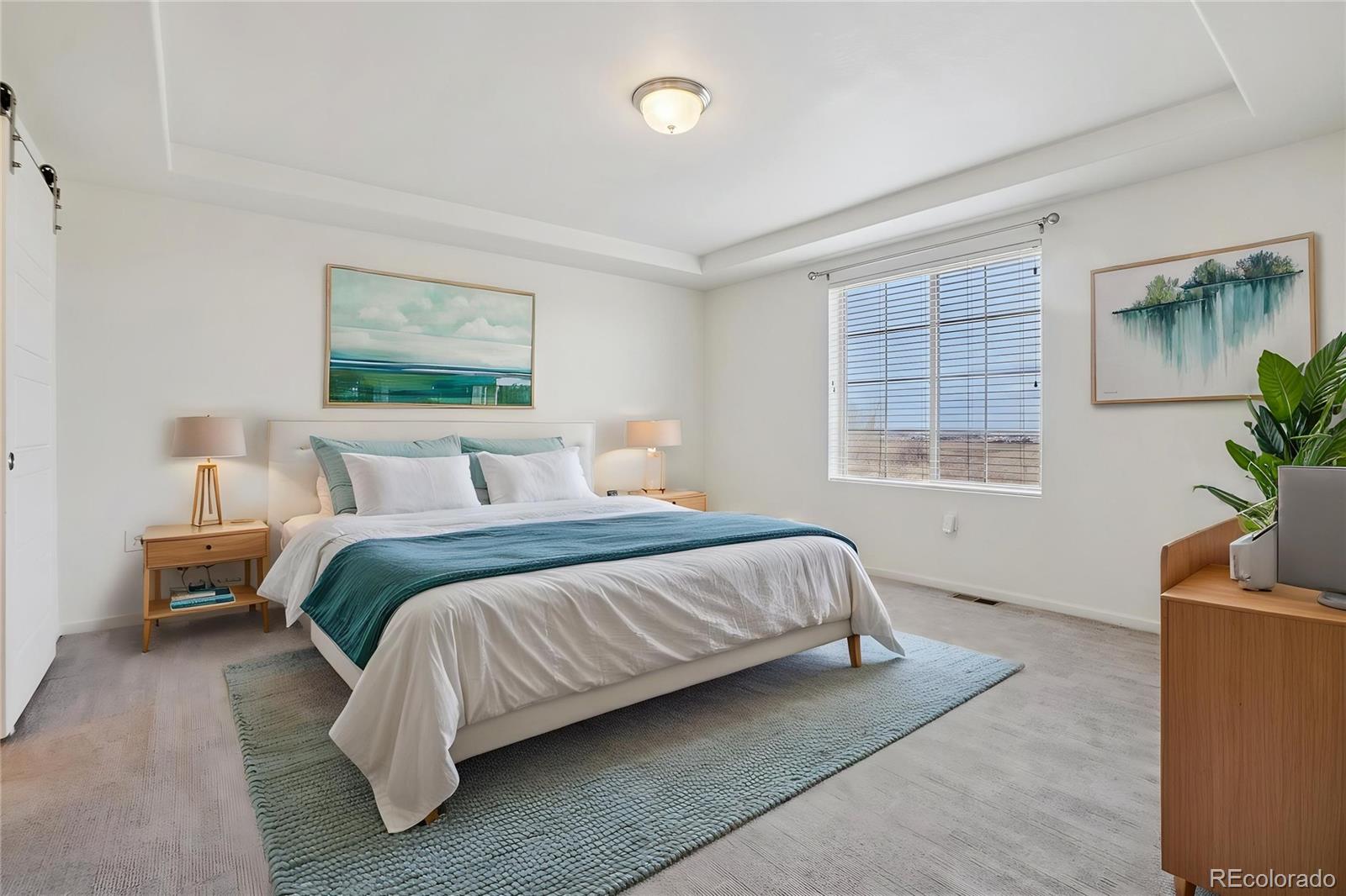 MLS Image #10 for 18019 e 108th place,commerce city, Colorado