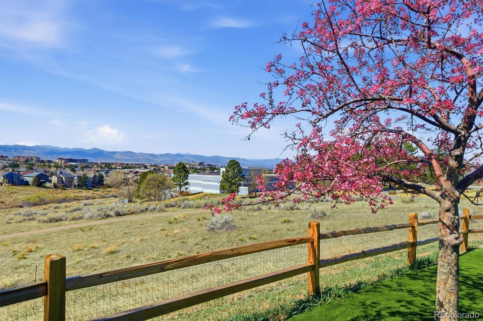 MLS Image #42 for 508  longfellow lane,highlands ranch, Colorado