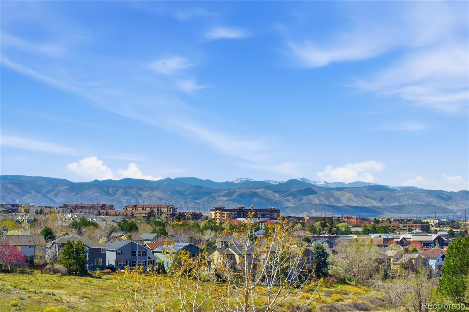 MLS Image #47 for 508  longfellow lane,highlands ranch, Colorado
