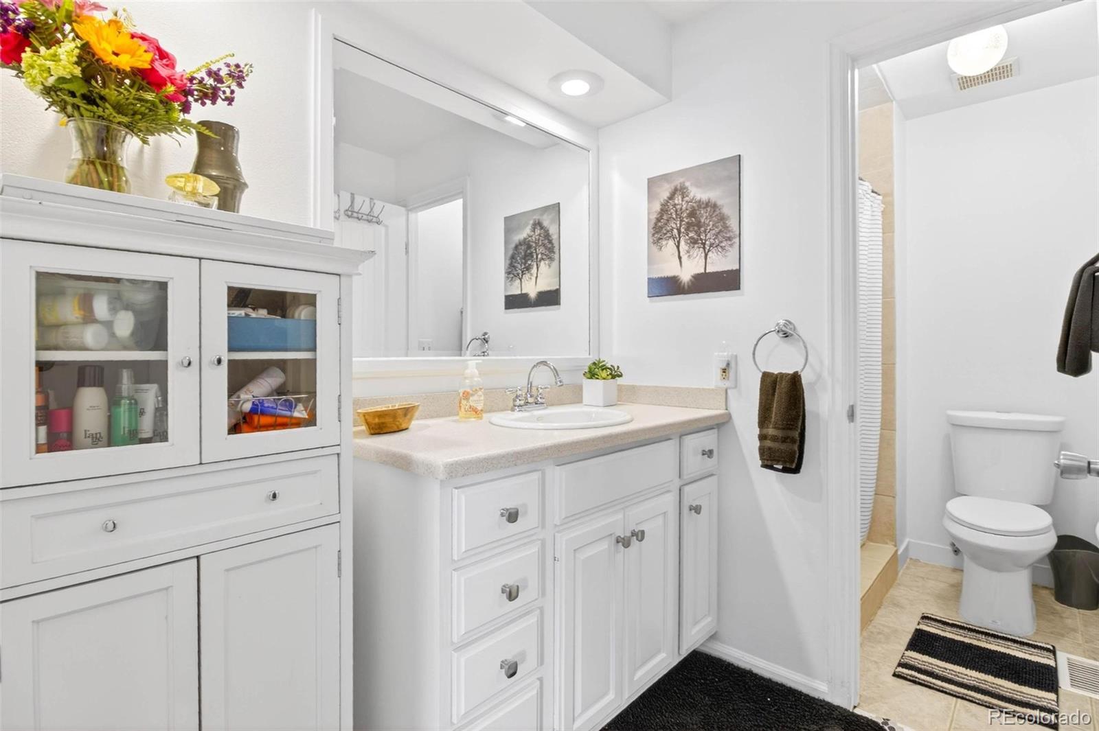 MLS Image #8 for 6556 s ammons court,littleton, Colorado