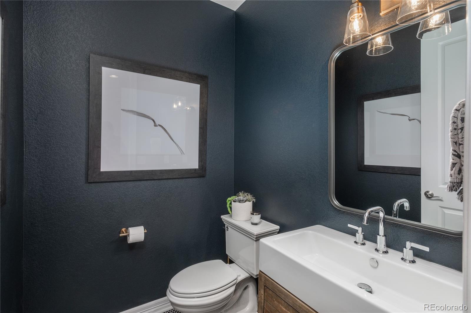 MLS Image #20 for 802  braesheather place,highlands ranch, Colorado