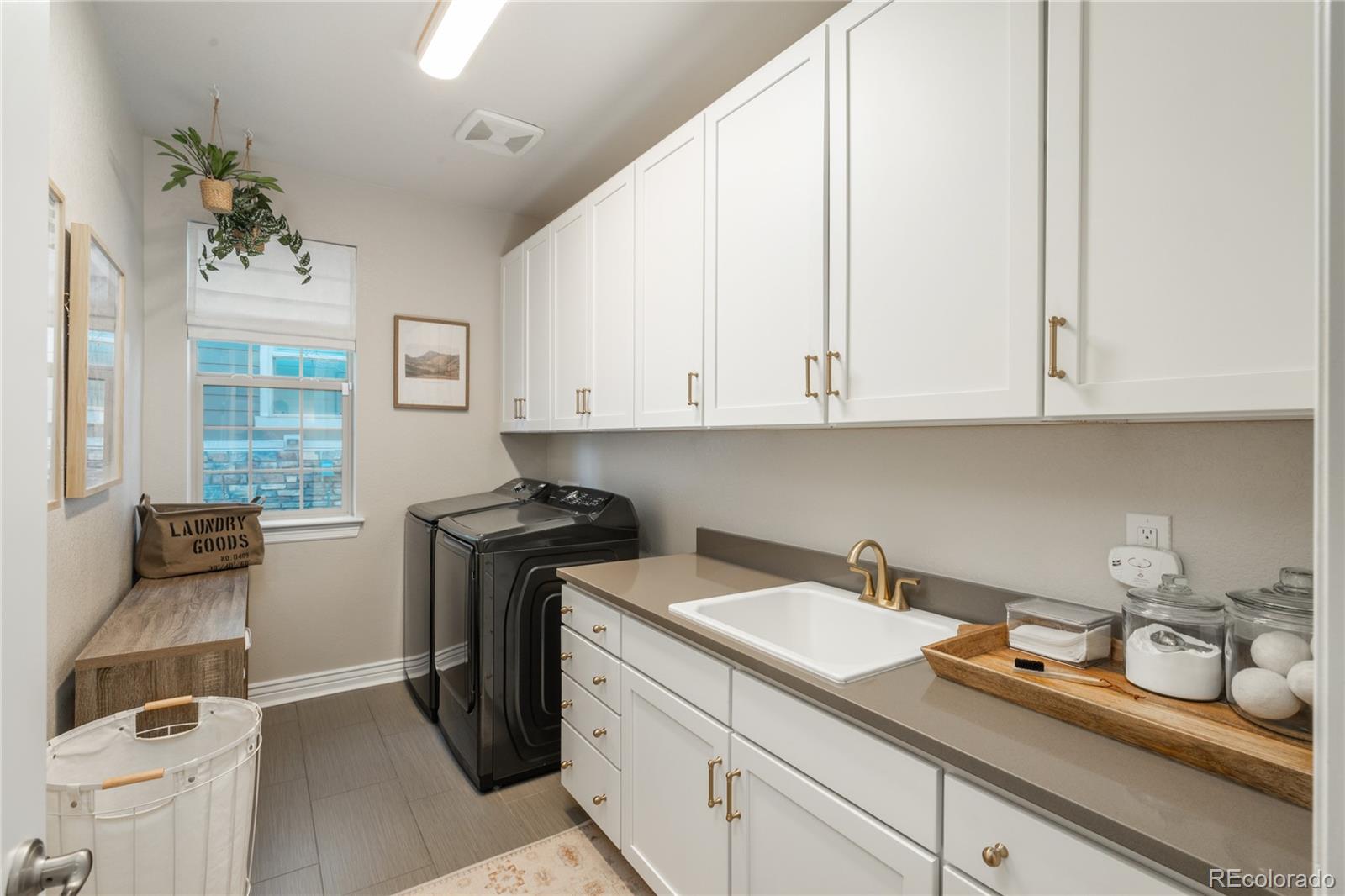 MLS Image #21 for 802  braesheather place,highlands ranch, Colorado