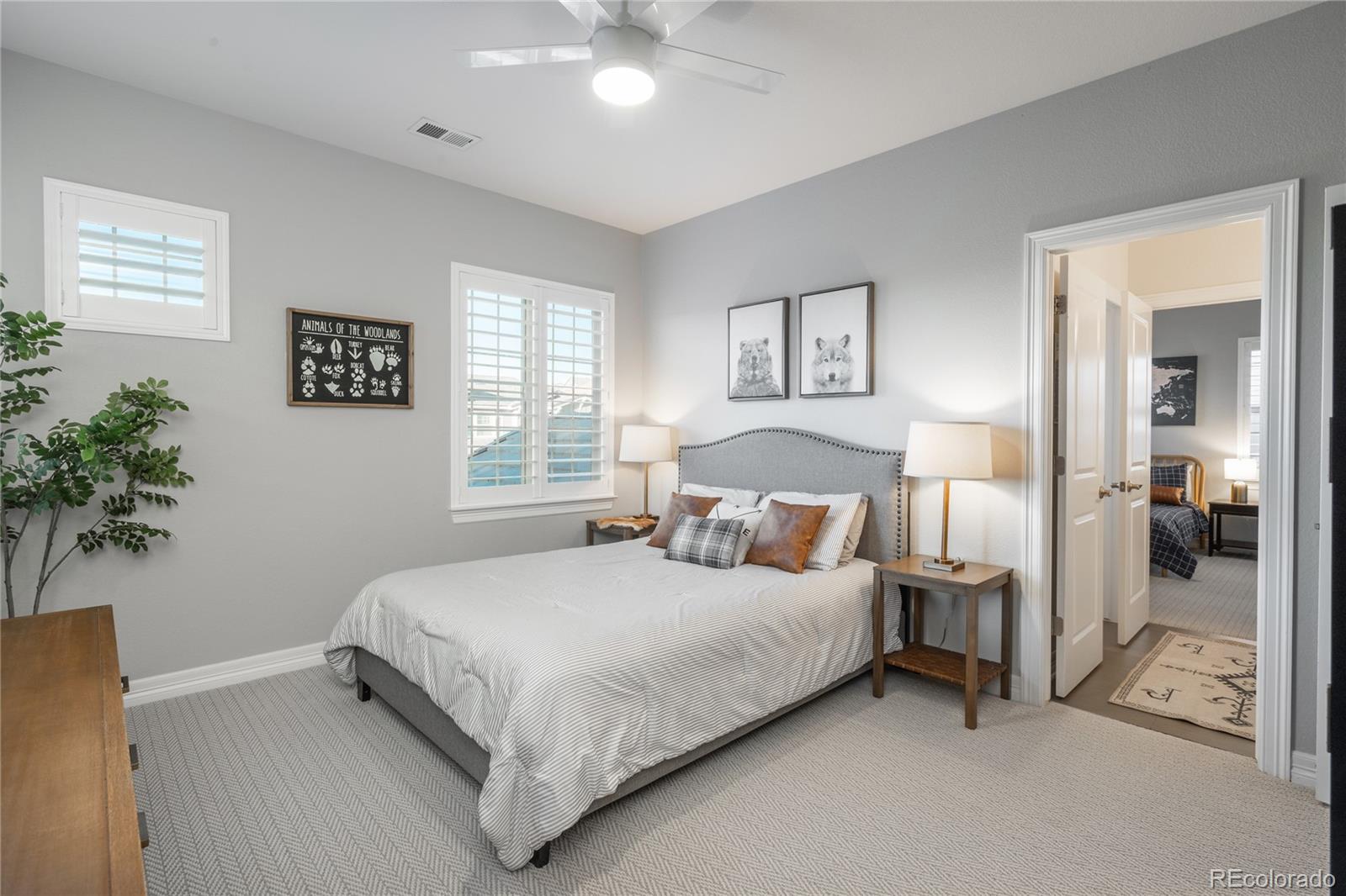MLS Image #28 for 802  braesheather place,highlands ranch, Colorado