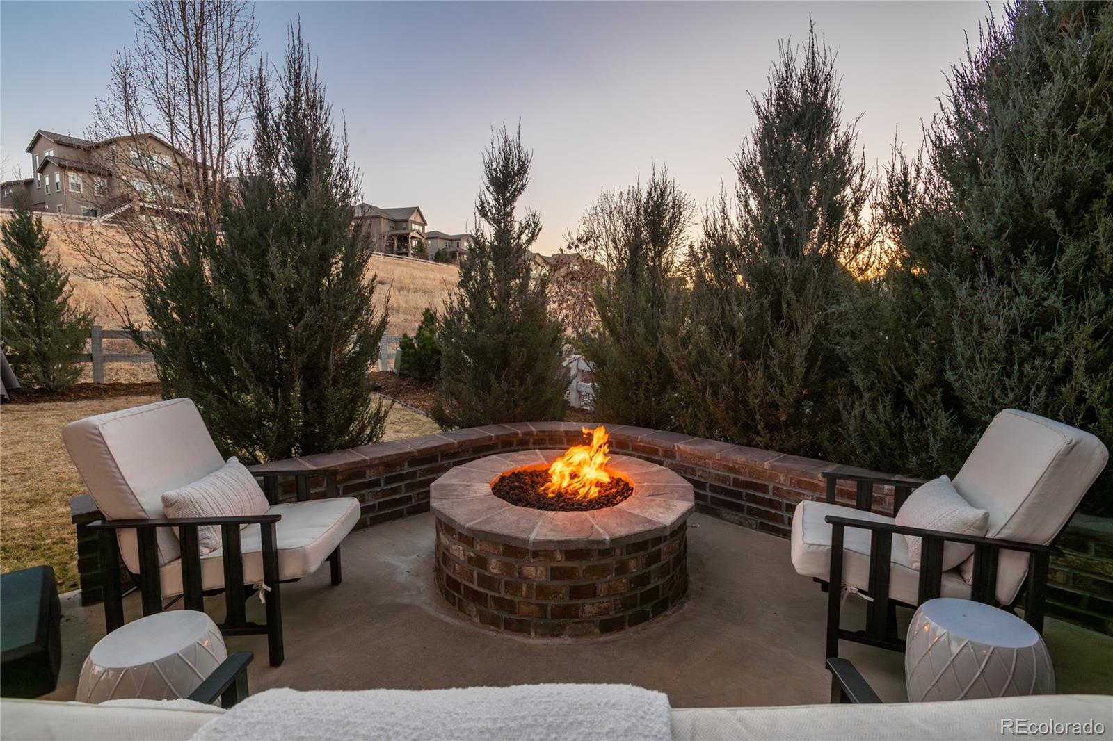 MLS Image #46 for 802  braesheather place,highlands ranch, Colorado
