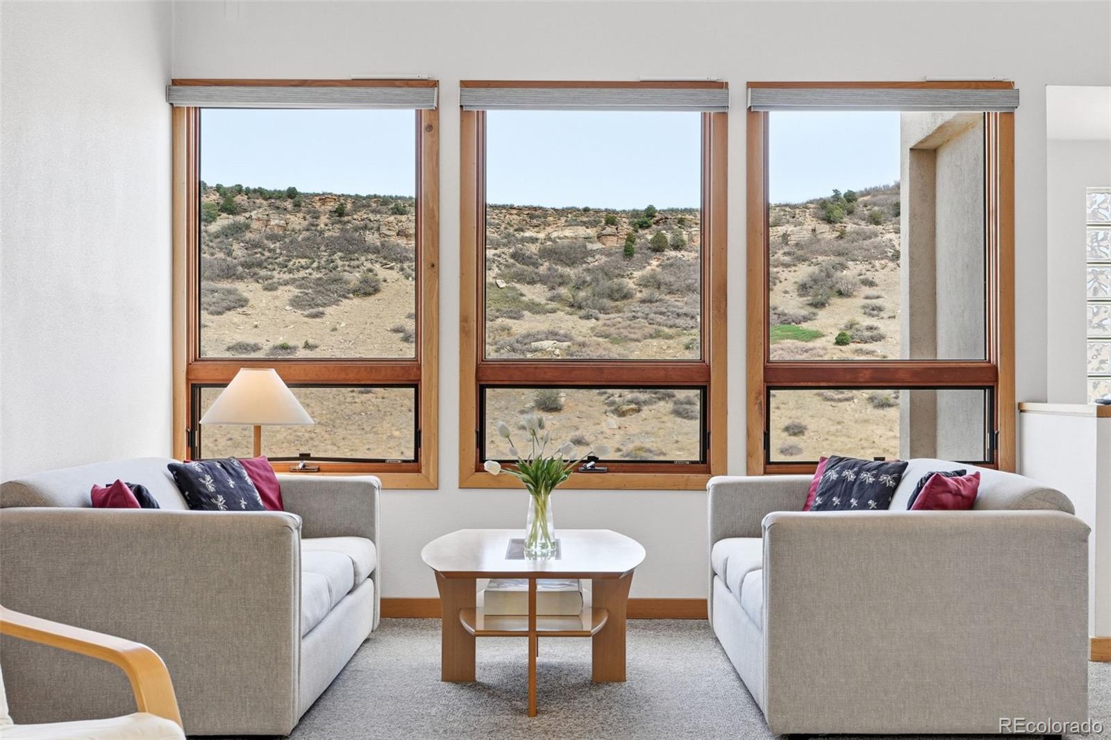 MLS Image #3 for 6070  crestbrook drive,morrison, Colorado