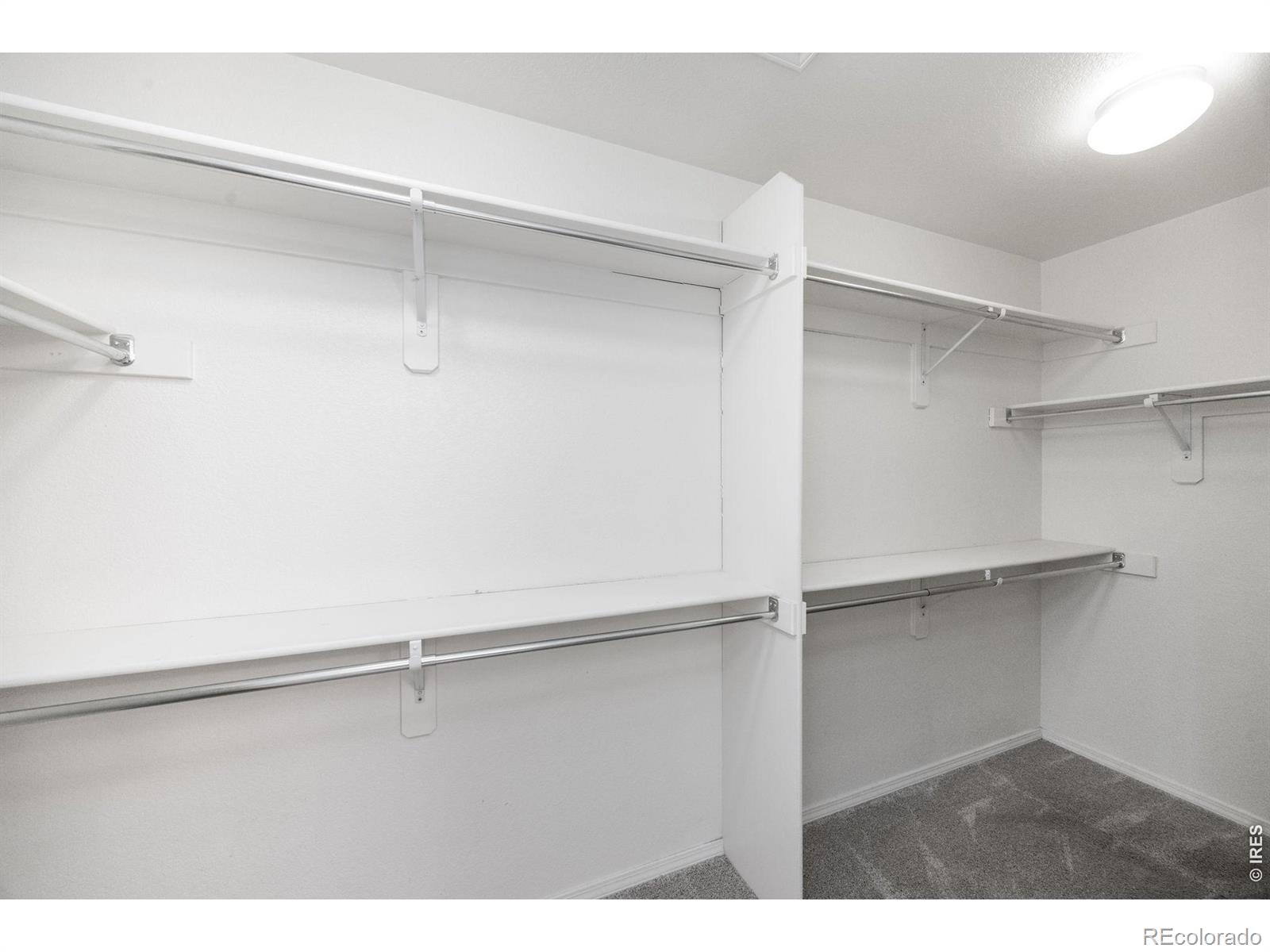 MLS Image #22 for 6308  clymer circle,fort collins, Colorado
