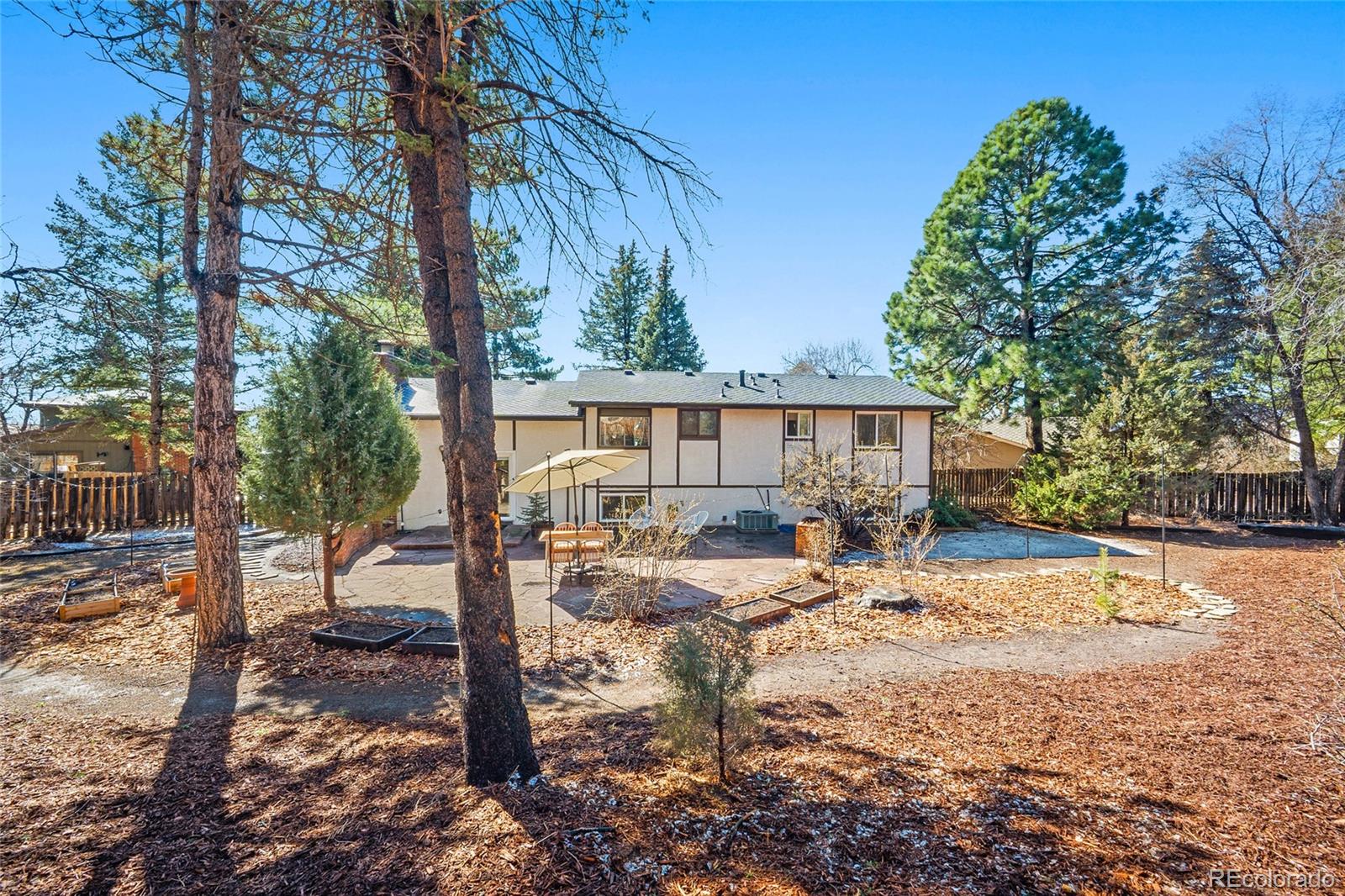 MLS Image #34 for 5242  constitution avenue,colorado springs, Colorado