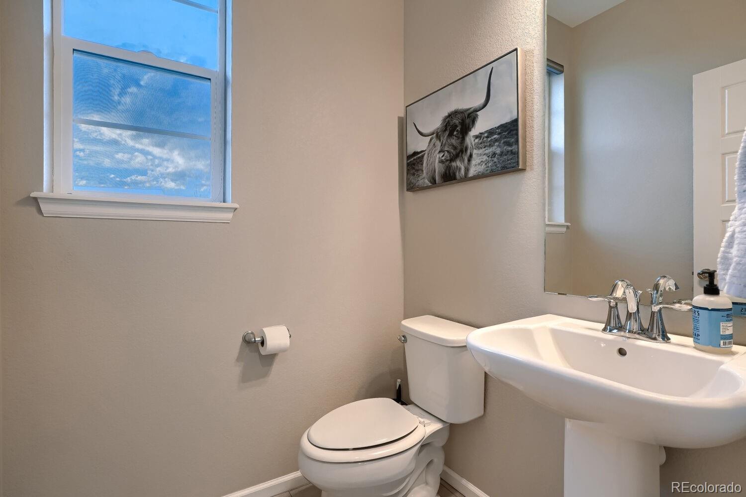 MLS Image #17 for 17126 e cedar gulch drive,parker, Colorado