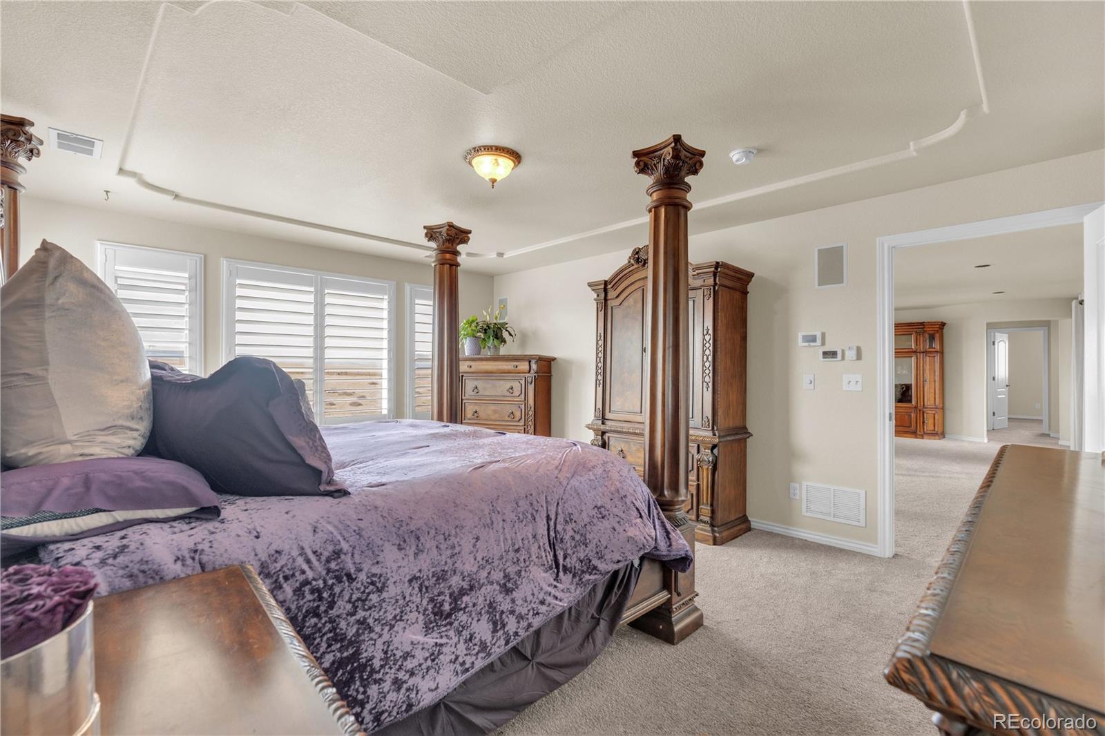 MLS Image #13 for 2973  breezy lane,castle rock, Colorado