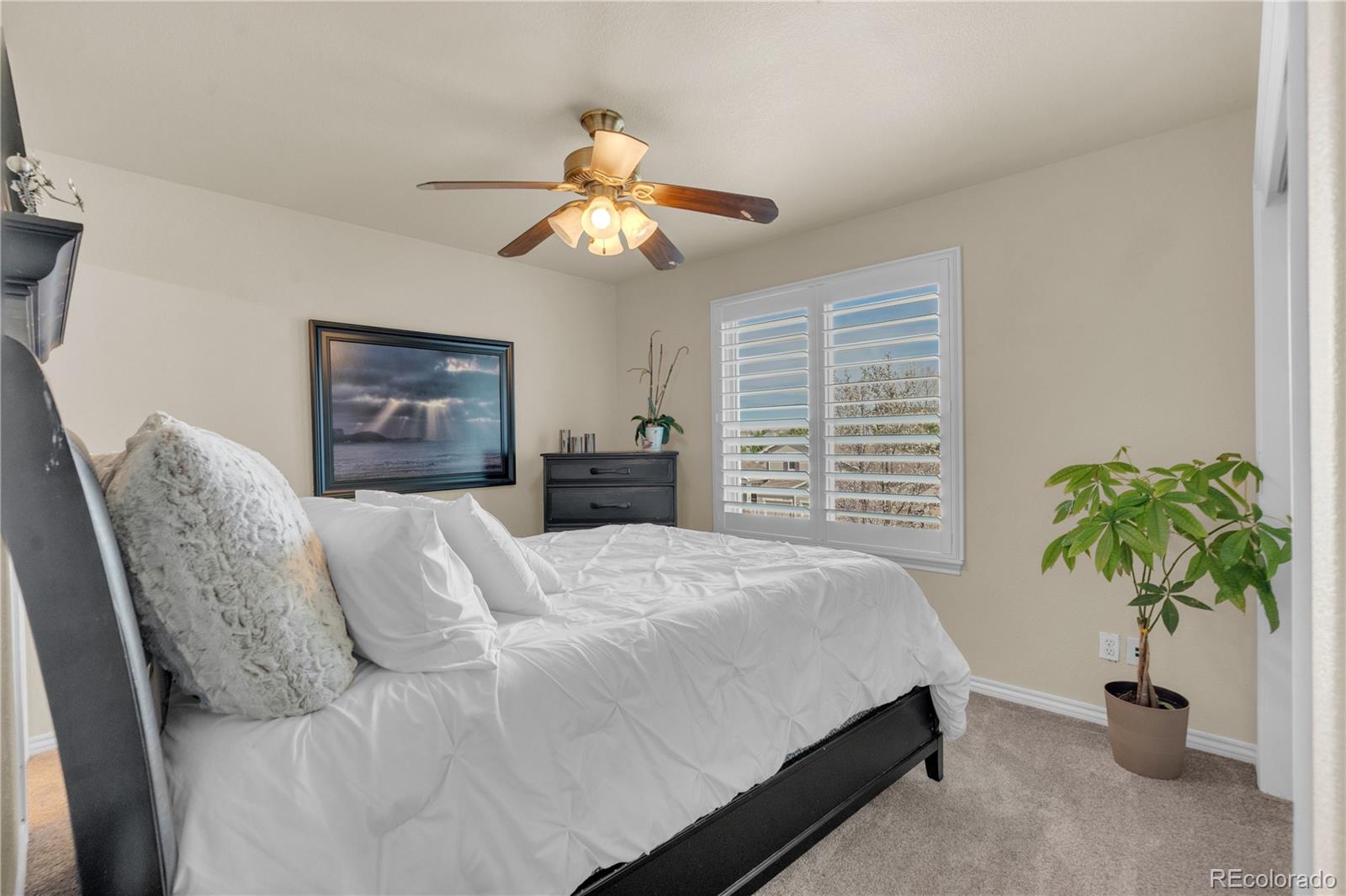 MLS Image #28 for 2973  breezy lane,castle rock, Colorado