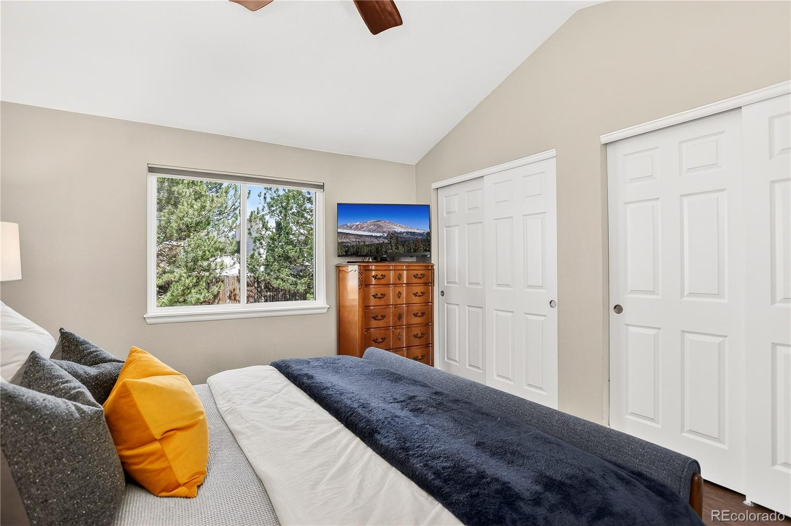 MLS Image #20 for 23827  broadmoor drive,parker, Colorado