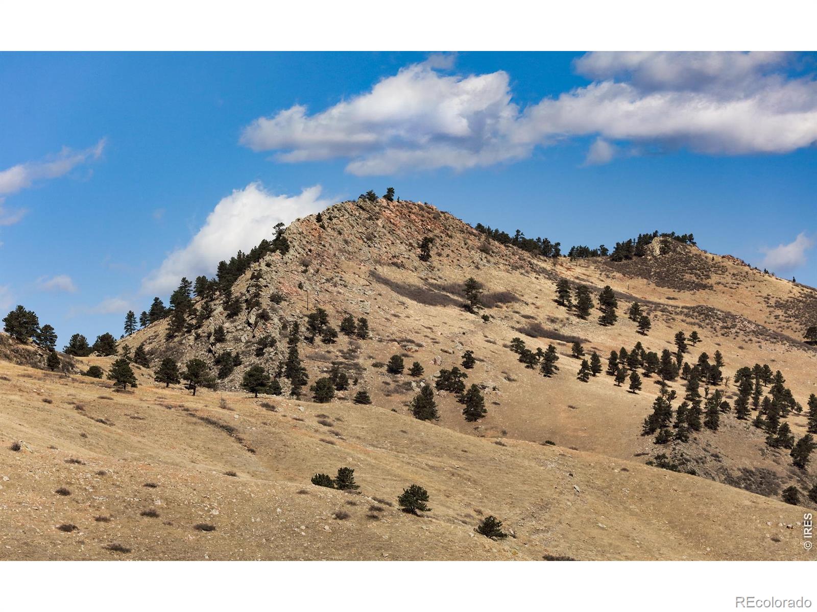 MLS Image #3 for 650  terrace avenue,boulder, Colorado