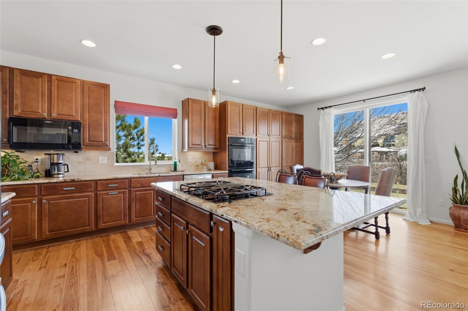MLS Image #12 for 3960  manorbrier circle,castle rock, Colorado