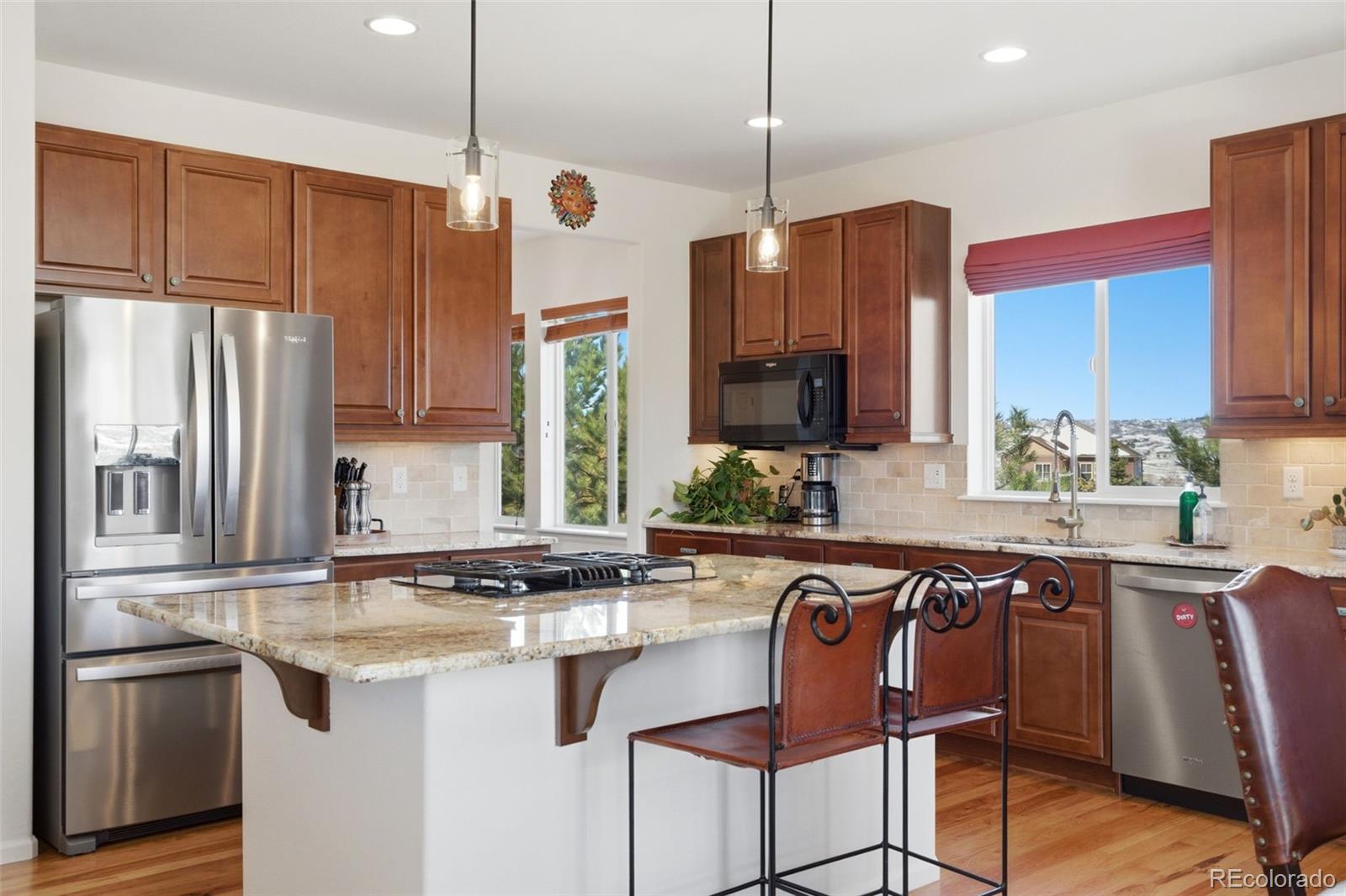 MLS Image #13 for 3960  manorbrier circle,castle rock, Colorado