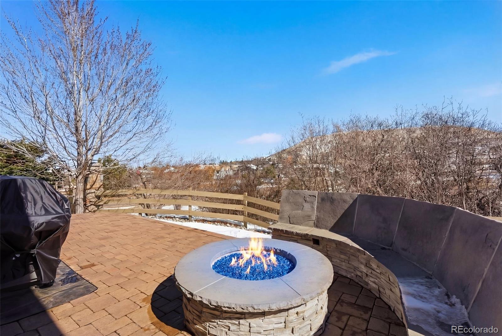 MLS Image #20 for 3960  manorbrier circle,castle rock, Colorado