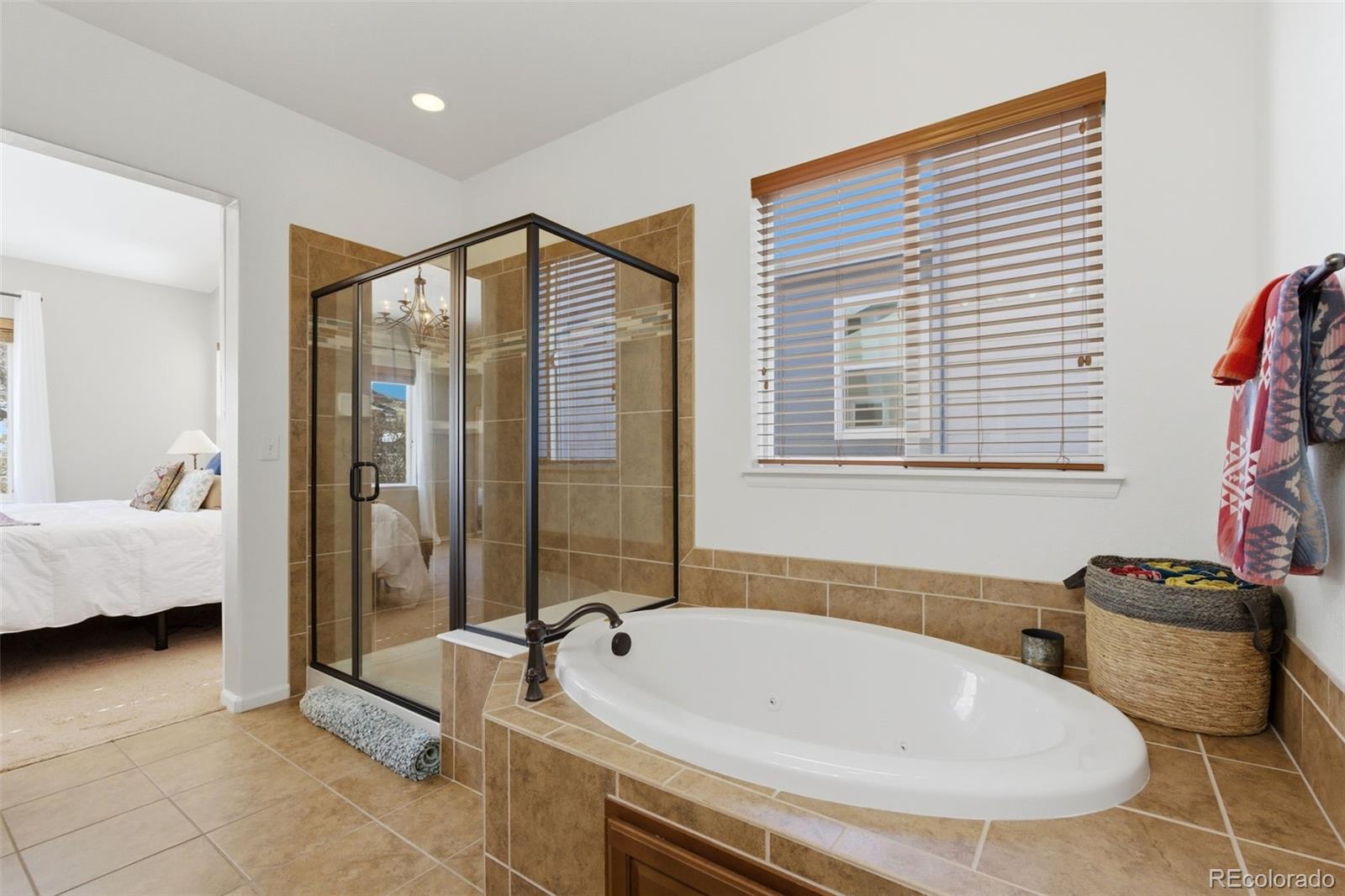 MLS Image #27 for 3960  manorbrier circle,castle rock, Colorado