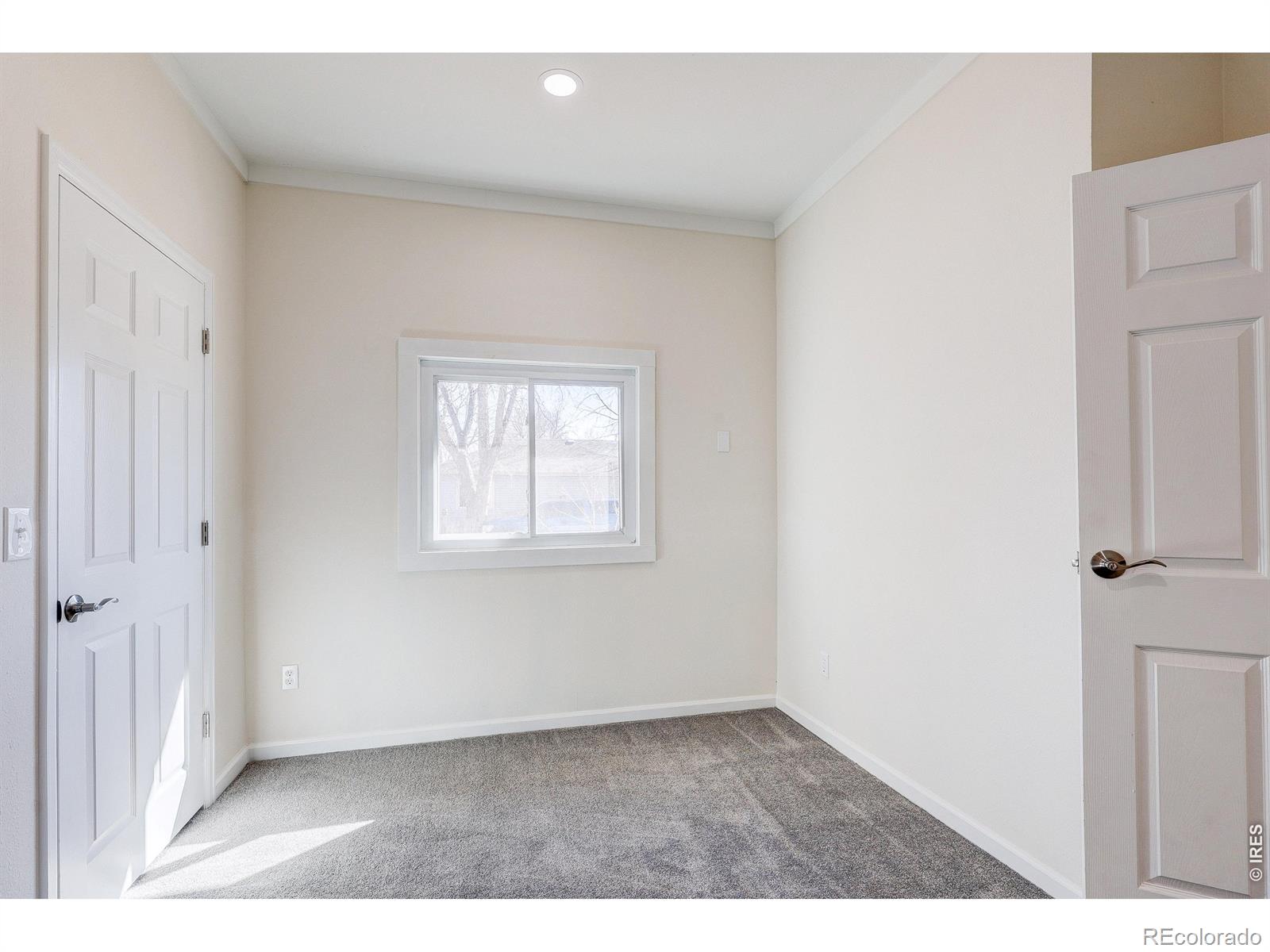 MLS Image #17 for 655  albany avenue,loveland, Colorado