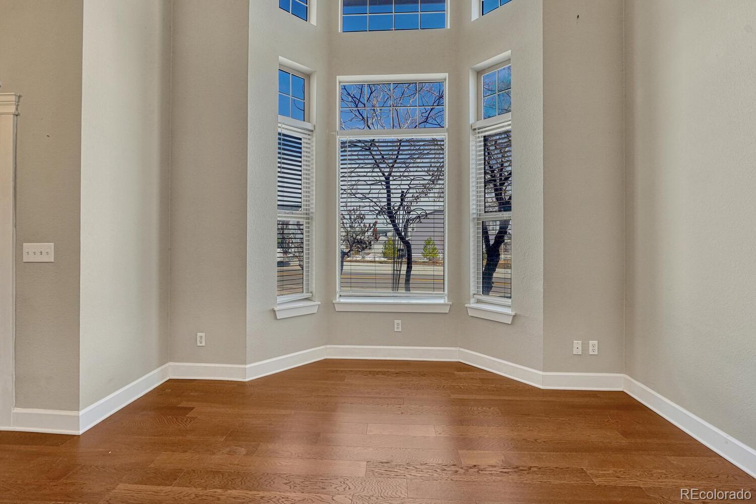 MLS Image #8 for 18258  french creek avenue ,parker, Colorado