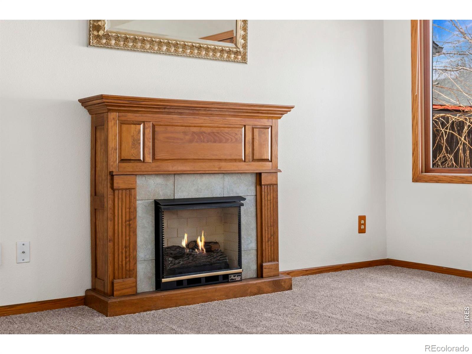 MLS Image #18 for 241  pin oak drive,loveland, Colorado
