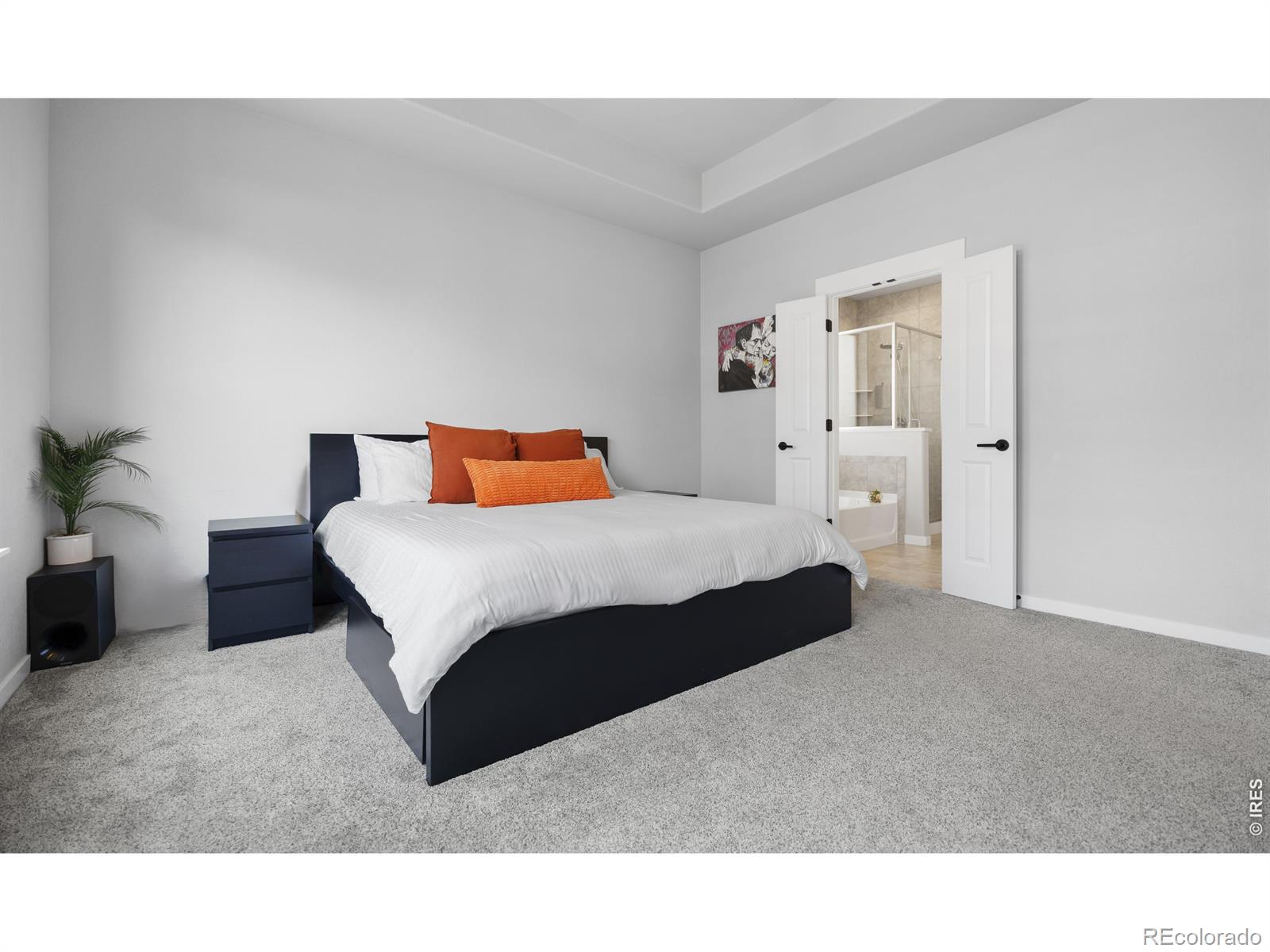 MLS Image #16 for 2102  bouquet drive,windsor, Colorado