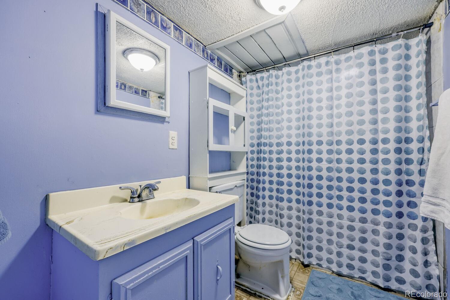 MLS Image #10 for 2141  stacy drive,denver, Colorado