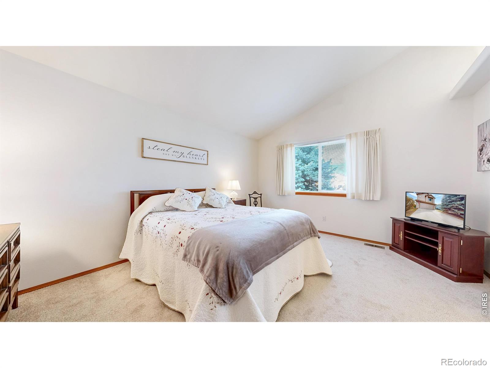 MLS Image #16 for 2025  amber court,fort collins, Colorado
