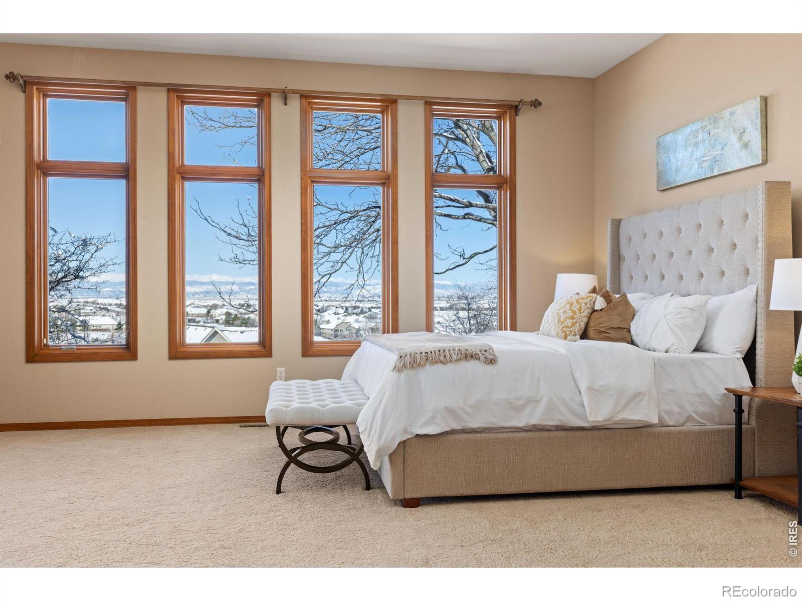MLS Image #22 for 14683  beeler street,brighton, Colorado