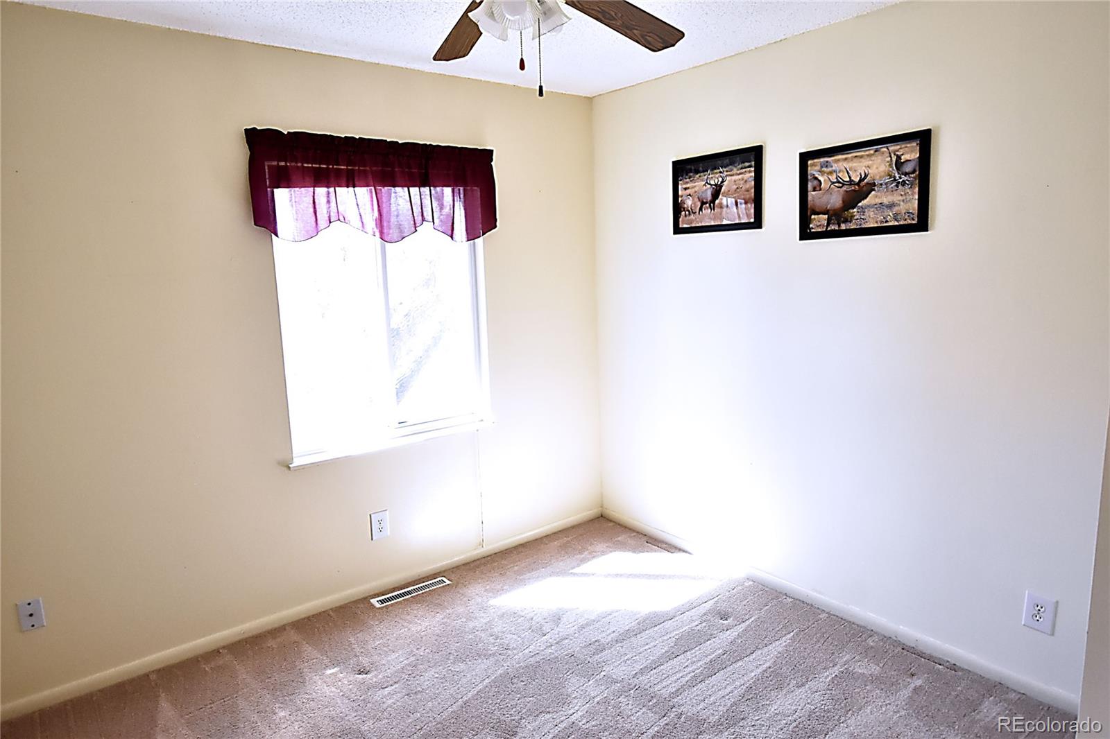 MLS Image #8 for 632  hilltop street,longmont, Colorado