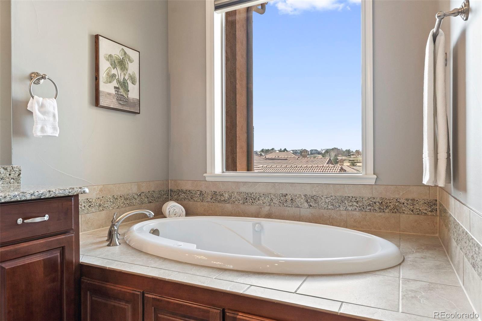 MLS Image #23 for 9168  viaggio way ,highlands ranch, Colorado