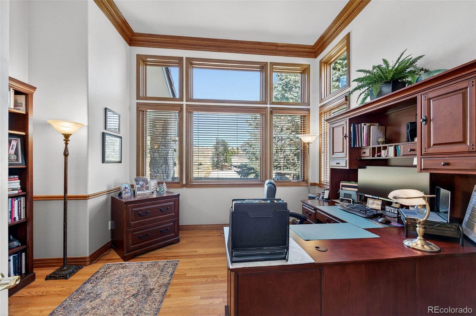MLS Image #7 for 18  prairie clover ,littleton, Colorado