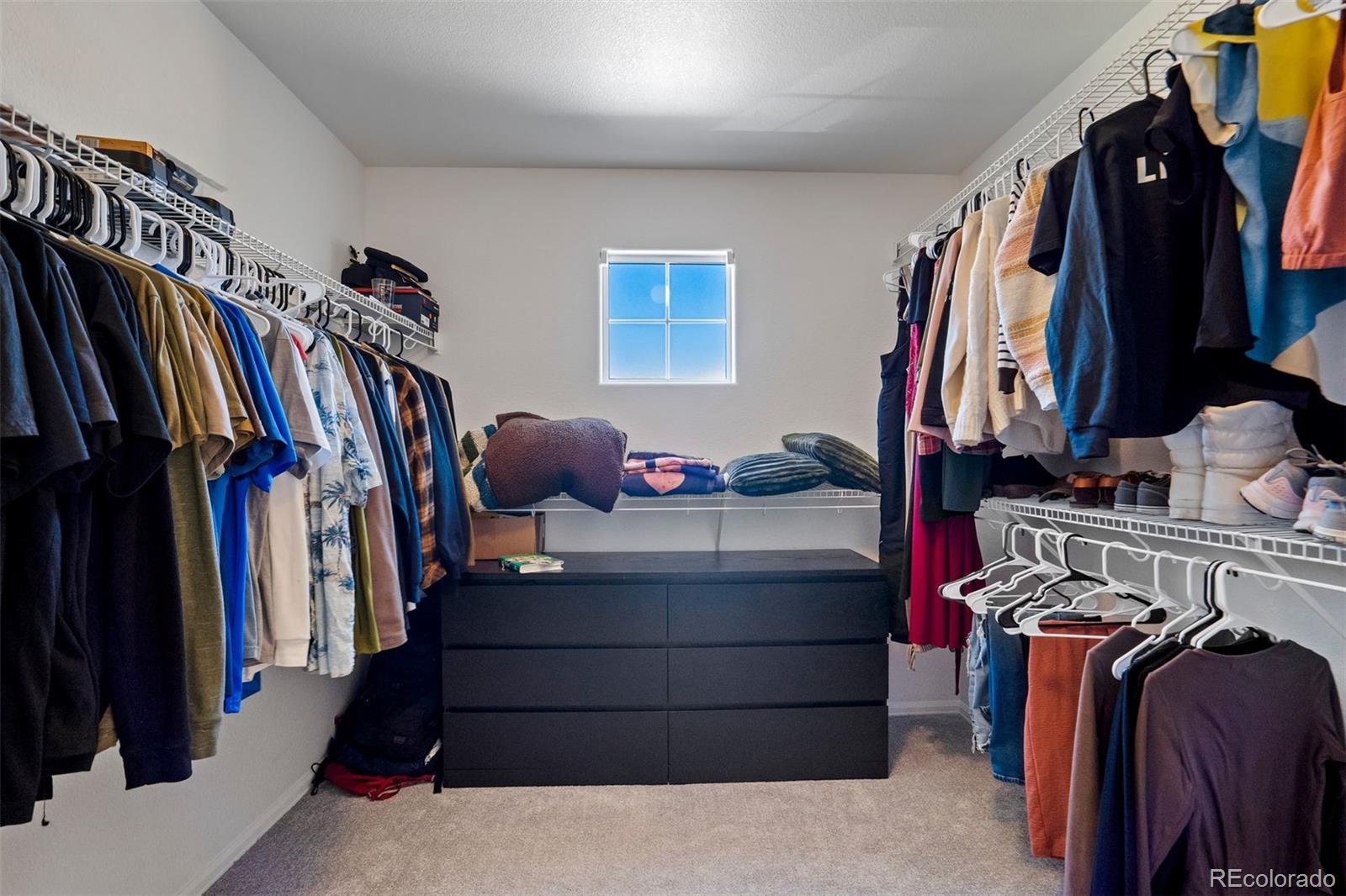 MLS Image #28 for 7838  chasewood loop,colorado springs, Colorado